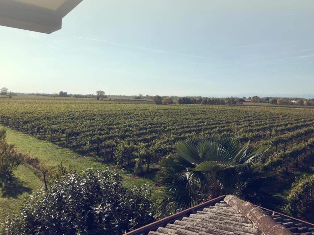 Villa Sofia Pramaggiore Ngoại thất bức ảnh